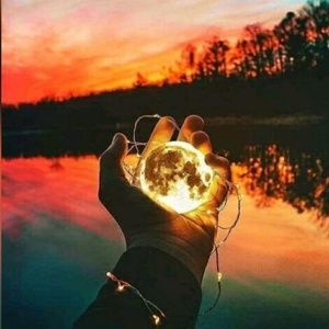 Meet your Posher, Sharrena